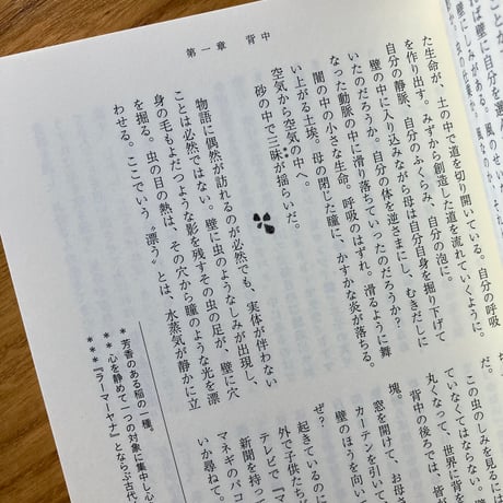 ギーターンジャリ･シュリー、藤井美佳＝訳｜砂の境界