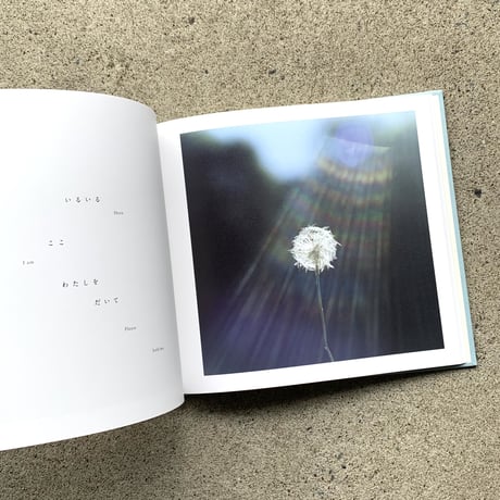 詩：谷川俊太郎　写真：川内倫子｜いまここ