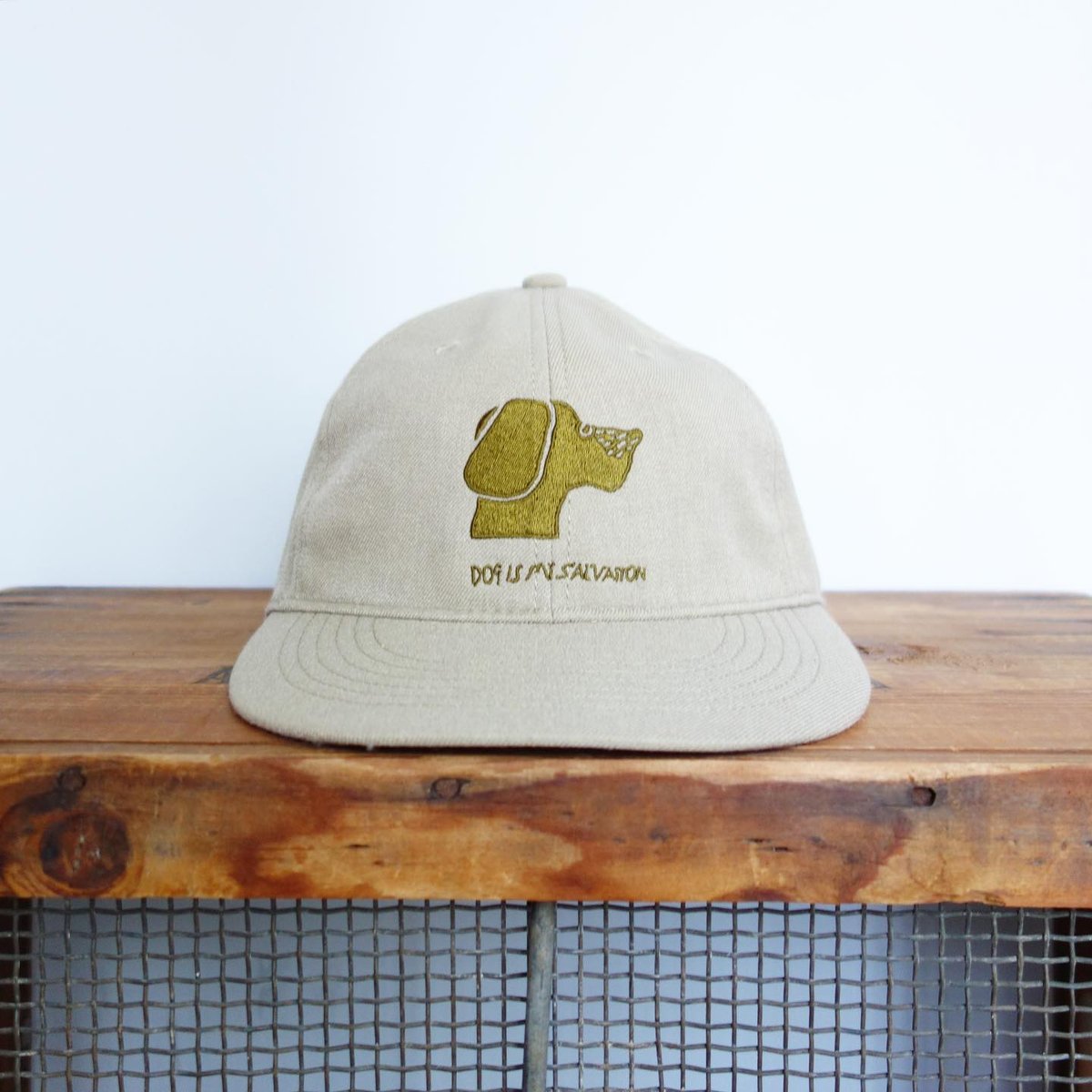 TACOMA FUJI RECORDS DOG IS MY SALVATION CAP | f