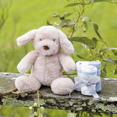 【The Little Linen Company】出産祝いセット - Harvest Bunny