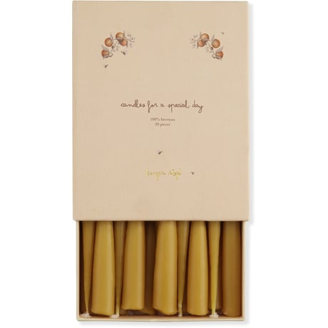 20 PACK BIRTHDAY TRAIN CANDLES - NATURE