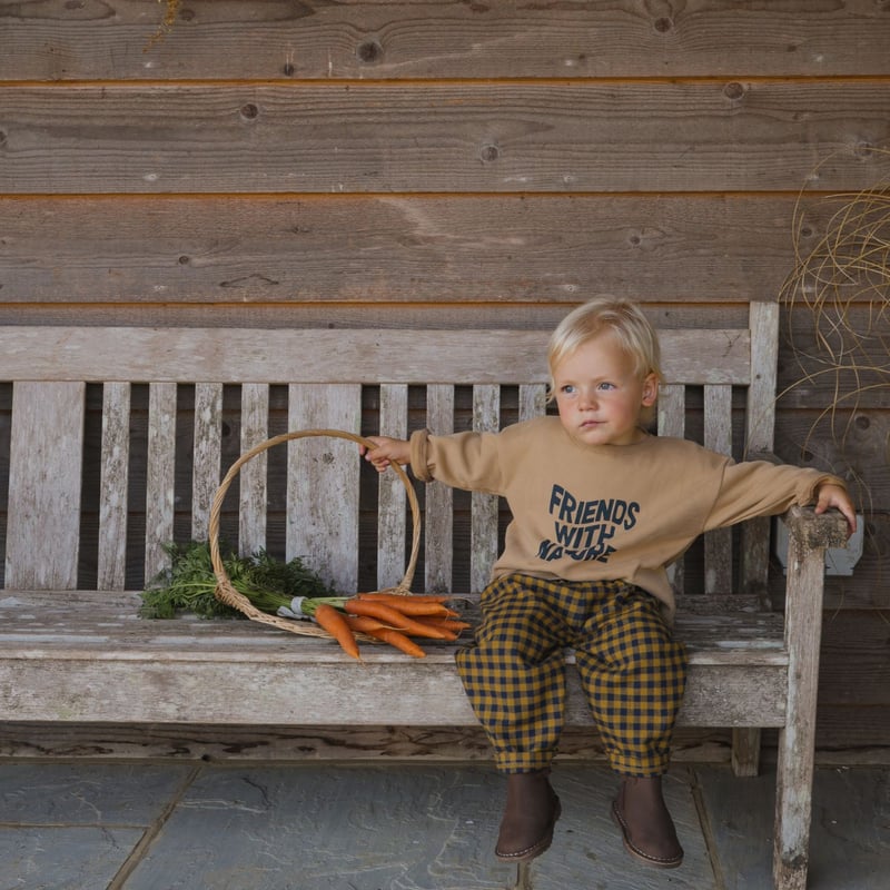 【 organic zoo 】 ギンガムチェックパンツT-shirt 2-3y organic zoo 】 ギンガムチェックパンツT-shirt 2-3y organic zoo