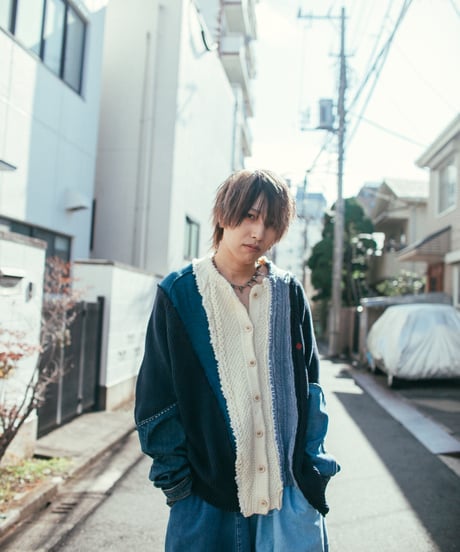 "休日ダイアの青" holiday schedule, Rebuild by vintages