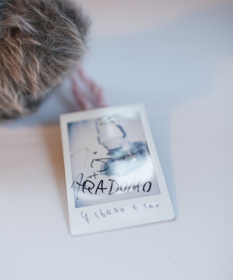【nisai × ARADOMO】"終わりの先の命／手縫いのニット" Life Beyond the End, Rebuild by vintages