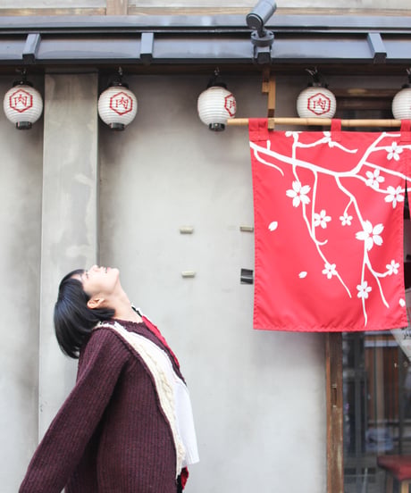 "くずれたルージュ"  Collapsed rouge Knit, Rebuild by vintages