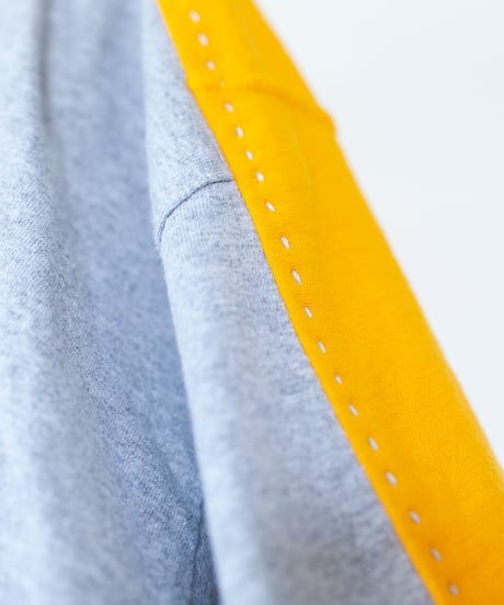 "ガザニア・シルバーカーペット" Gazania'Silver carpet T-shirts, Rebuild by vintages