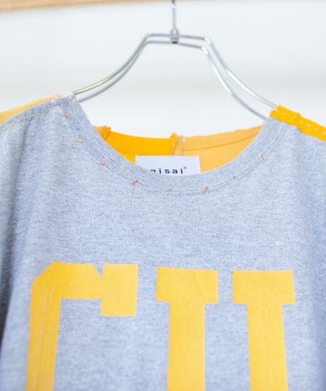 "ガザニア・シルバーカーペット" Gazania'Silver carpet T-shirts, Rebuild by vintages