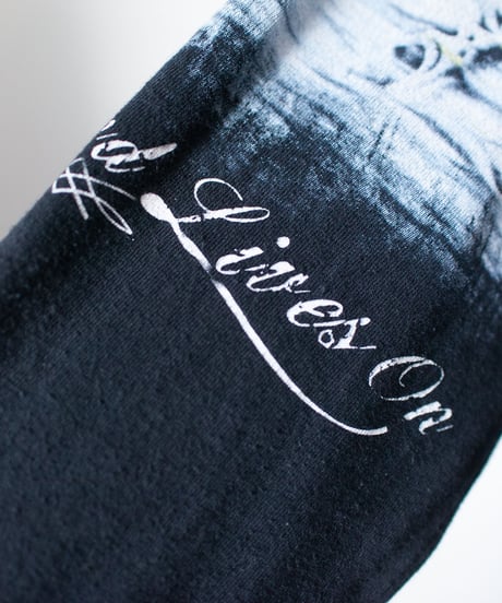 "私がそれを美しいと思う理由" why i think it's beautiful. long-sleeved T-shirt, Rebuild by vintages