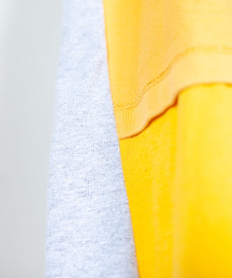 "ガザニア・シルバーカーペット" Gazania'Silver carpet T-shirts, Rebuild by vintages