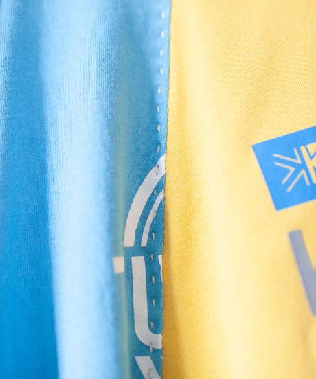 "檸檬と氷菓の思い出" Memories of Lemon and Ice long-sleeved T-shirt, Rebuild by vintages