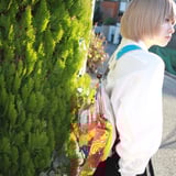 nisaitoyou.com