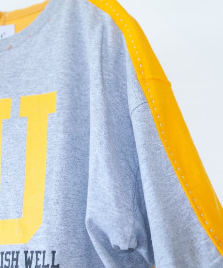 "ガザニア・シルバーカーペット" Gazania'Silver carpet T-shirts, Rebuild by vintages