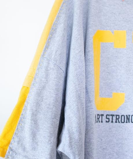 "ガザニア・シルバーカーペット" Gazania'Silver carpet T-shirts, Rebuild by vintages
