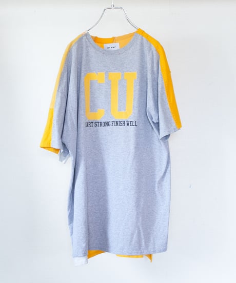 "ガザニア・シルバーカーペット" Gazania'Silver carpet T-shirts, Rebuild by vintages