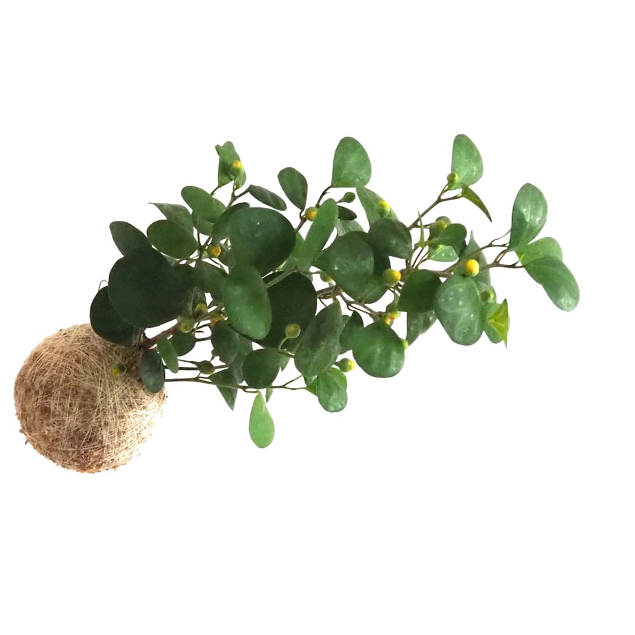 64ac1d49f848b1002fe100e1