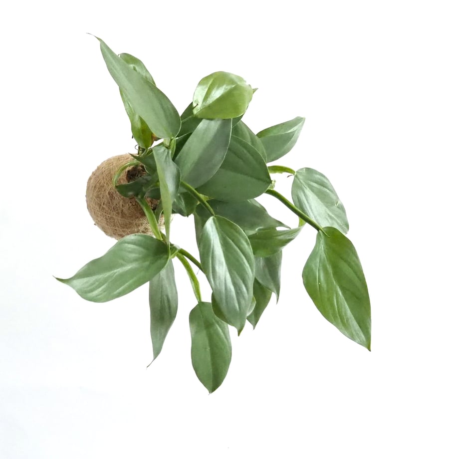 5f2289beafaa9d22712b2466