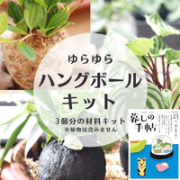 ゆらゆらハングボールキット＆「暮しの手帖」5世紀23号