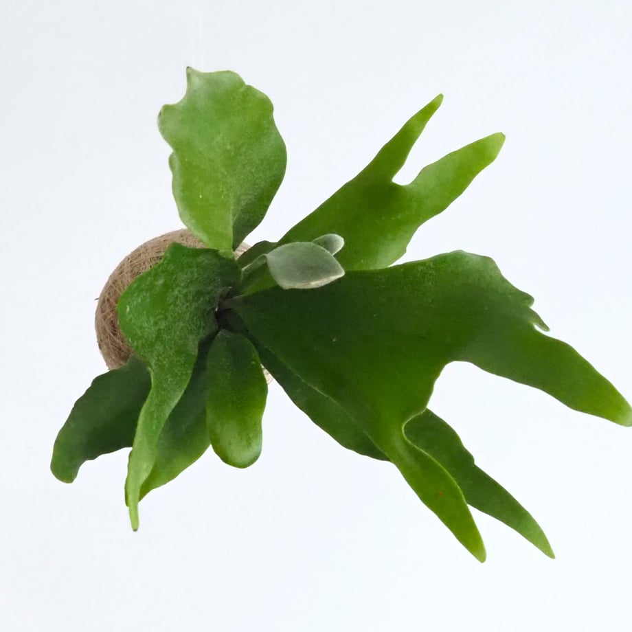 68d7591e9b5b8264629fdf77