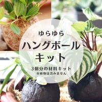 ゆらゆらハングボールキット