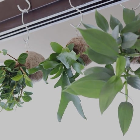 満席【6/28(日)14:00】ワークショップ@元住吉 moss atelier（POPUP販売も同時開催）