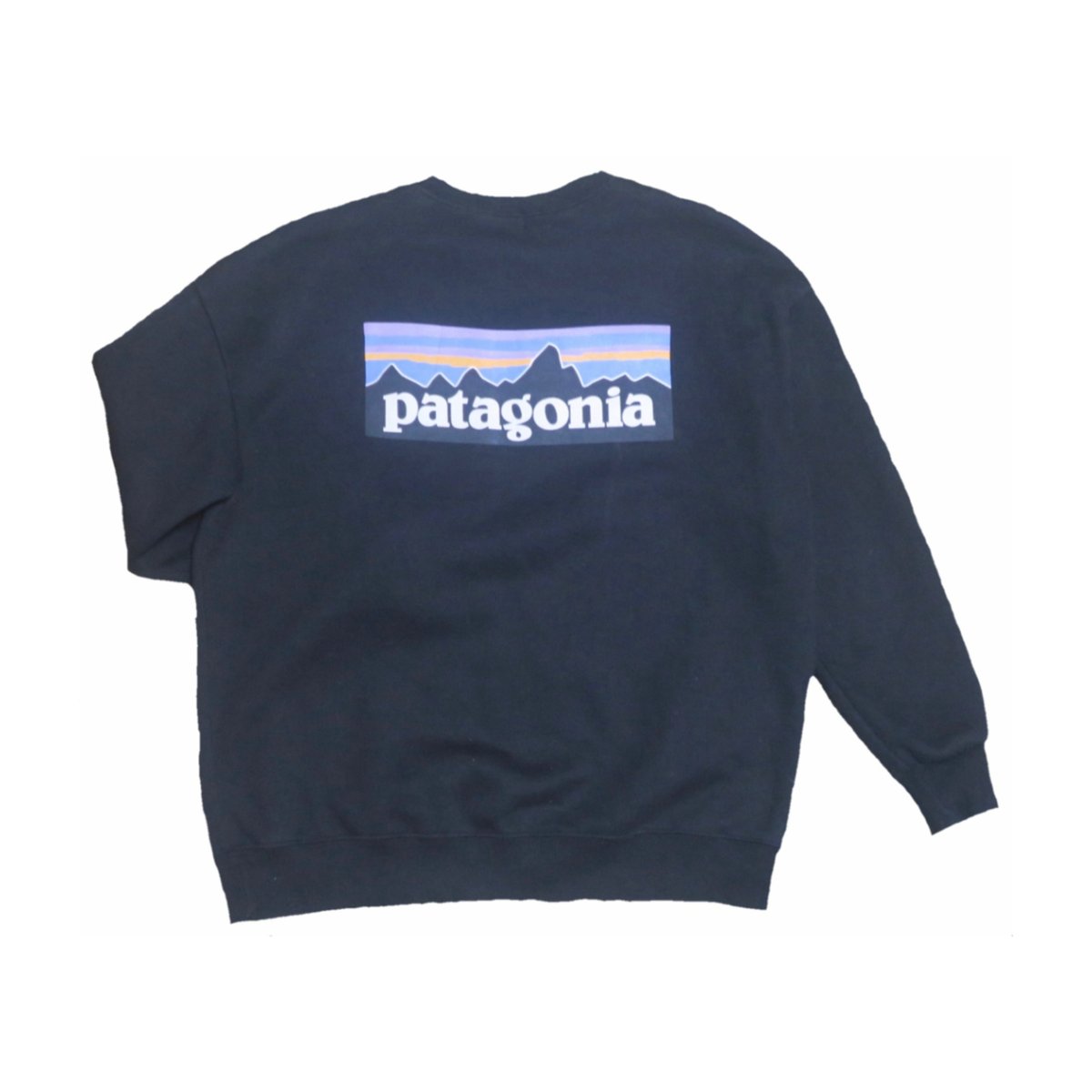 patagonia(パタゴニア) スウェット | 少しマニアックな古着のセレクト