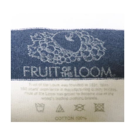 BLUE BLUE/FRUIT OF THE LOOM(ブルーブルー/フルーツオブザルーム) ボーダーTシャツ