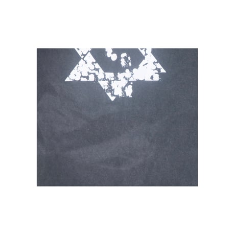 BUMP OF CHICKEN(バンプオブチキン) Tシャツ