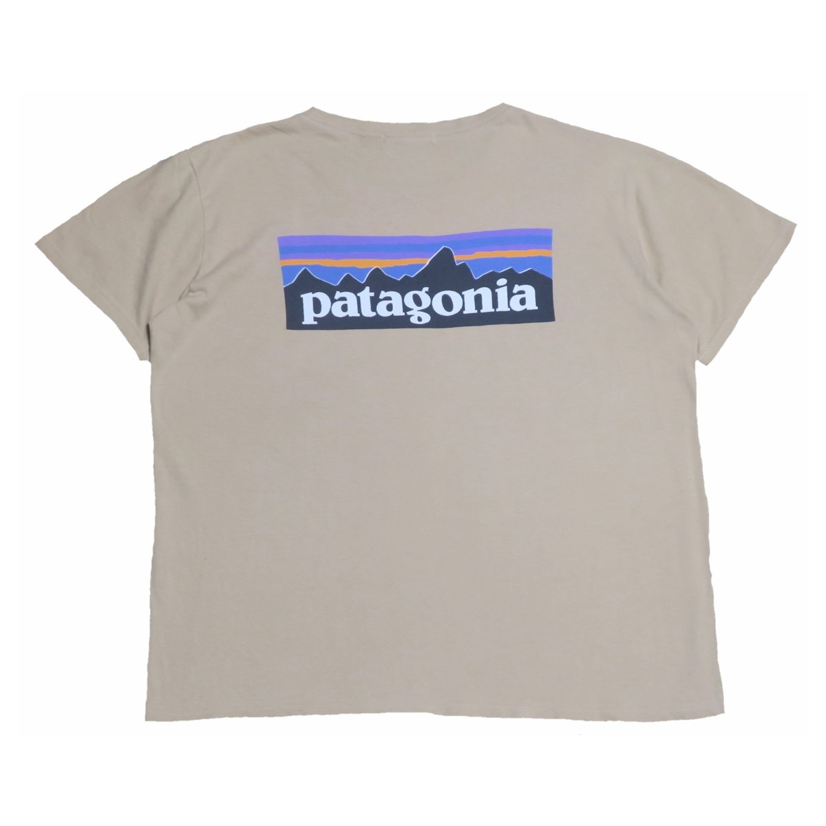 patagonia ビンテージTシャツ patagonia(パタゴニア) Tシャツ | 少しマニアックな古着の