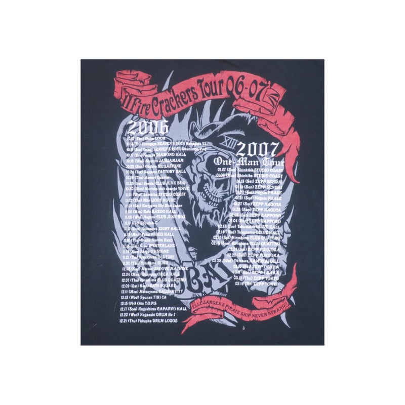 ELLEGARDEN(エルレガーデン) Tシャツ | 少しマニアックな古着の