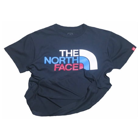 THE NORTH FACE(ノースフェイス) Tシャツ ロゴt アウトドア 古着 アメカジ