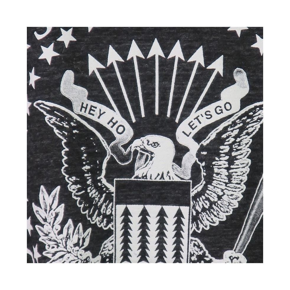 【美品】ラモーンズ Ramones スタジャン RAMONES ラモーンズ (来日 45周年 ) - Logo / ポスター 【公式