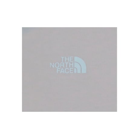 THE NORTH FACE(ノースフェイス) Tシャツ ロゴt レディース 古着 アメカジ