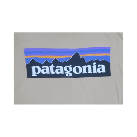 patagonia(パタゴニア) Tシャツ