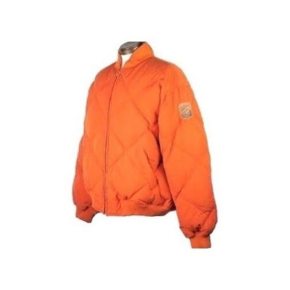 Polo Ralph Lauren(ポロラルフローレン) ダウン | 少し Polo Ralph Lauren(ポロラルフローレン) ダウン | 少し