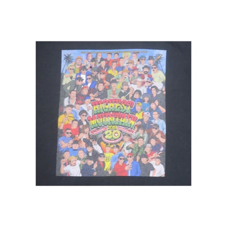 HIGHEST MOUNTAIN 2018(ハイエストマウンテン) Tシャツ レゲエ フェス バンドt 古着