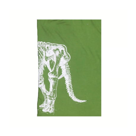 LANDS'END(ランズエンド) Tシャツ