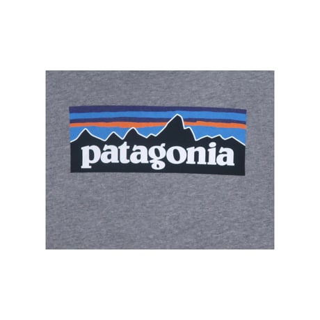 『レディース』patagonia(パタゴニア) Tシャツ