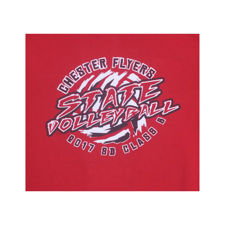 GILDAN(ギルダン) CHESTER FLYERS STATE VOLLEYBALL 2017 スウェット