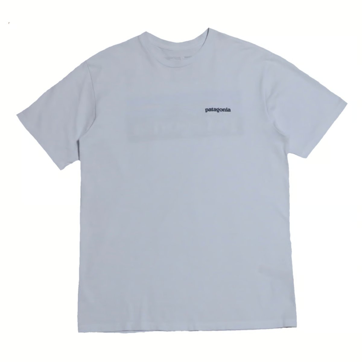 patagonia(パタゴニア) ロゴTシャツ | 少しマニアックな古着のセレクト