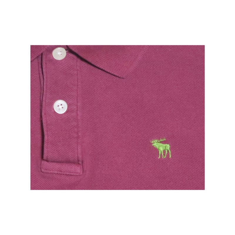 Abercrombie＆Fitch(アバクロンビーアンドフィッチ) ポロシャツ | 少し