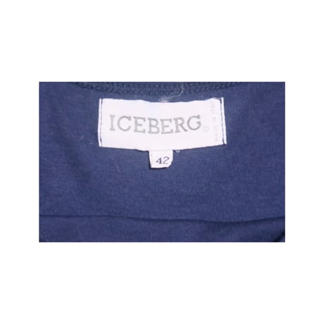 ICEBERG(アイスバーグ) アインシュタインTシャツ パロディt アインシュタイン 古着