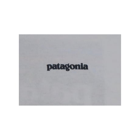 patagonia(パタゴニア) ロゴTシャツ