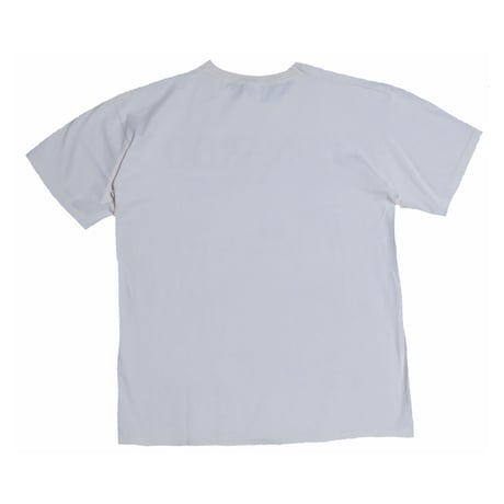 FRUIT OF THE LOOM(フルーツオブザルーム) レオナルドダヴィンチTシャツ