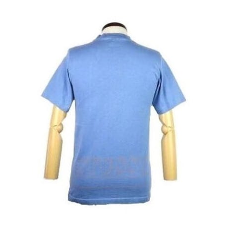 STUSSY(ステューシー) ロゴTシャツ