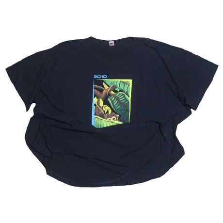 Ann Arbor Summer Art Fair 2010 Tシャツ