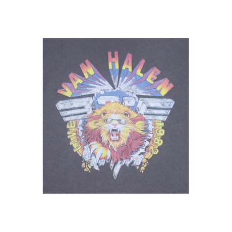 GU VAN HALEN(ヴァンヘイレン) Tシャツ バンドt ロックt ハードロック レディース  古着