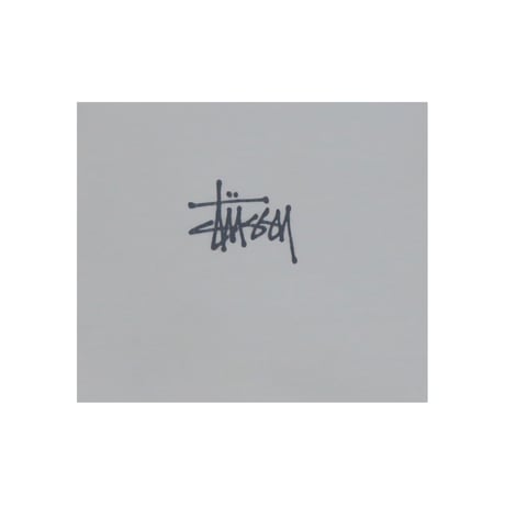 Stussy(ステューシー) Tシャツ ロゴt ストックロゴ ビッグロゴ ショーンフォント 古着
