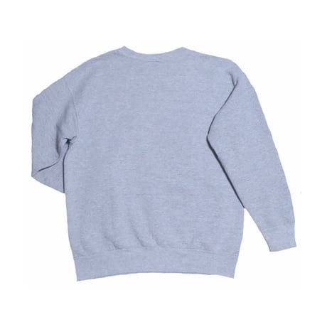 Hanes(ヘインズ) スウェット