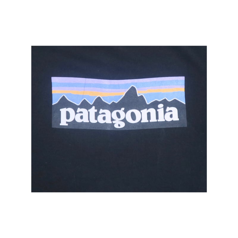 patagonia(パタゴニア) スウェット | 少しマニアックな古着のセレクト