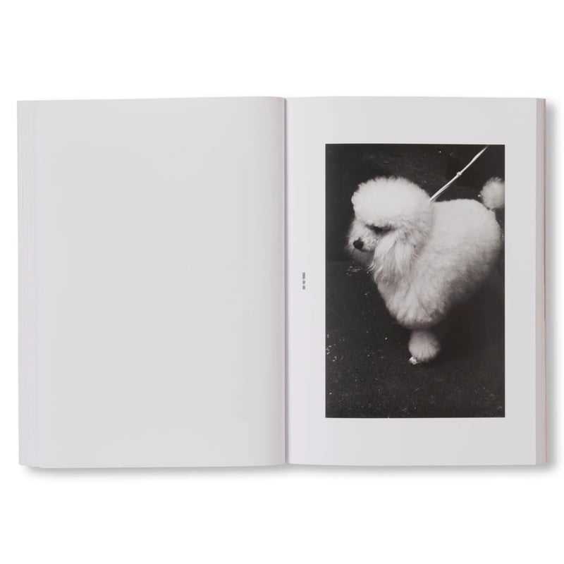 クリスティーネ フルヤ＝ゲッスラー メモワール　古屋誠一 PHOTOGRAPHS (1978-1985) / クリスティーネ・フルヤ＝ゲッスラー（Chr